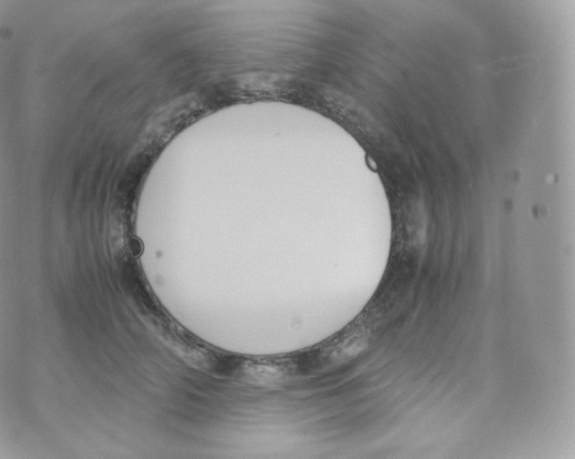 X0000070380706200606301921