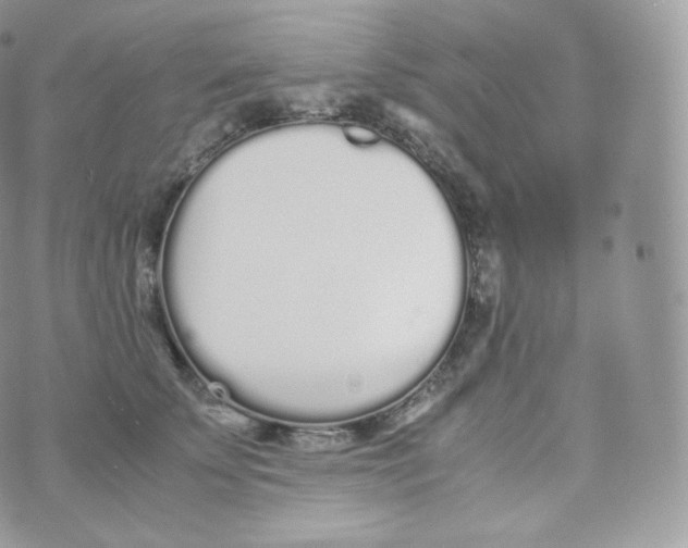 X0000070380707200606301921