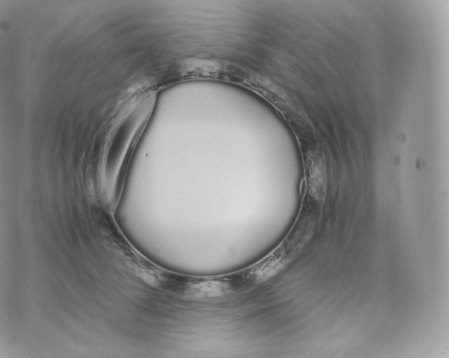 X0000070380708200606301921