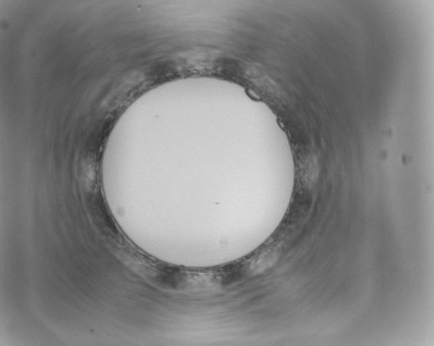 X0000070380709200606301921