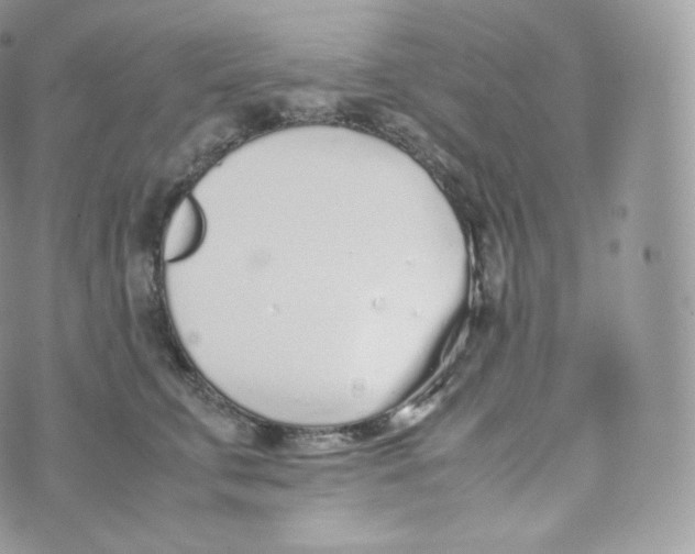 X0000070380711200606301921