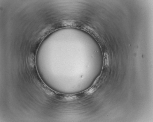 X0000070380712200606301921