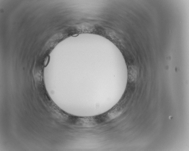 X0000070380713200606301921