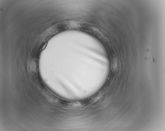 X0000070380715200606301921