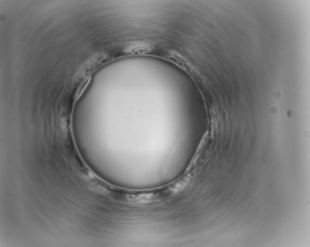 X0000070380716200606301921