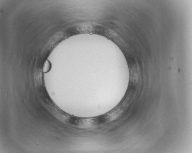 X0000070380717200606301921