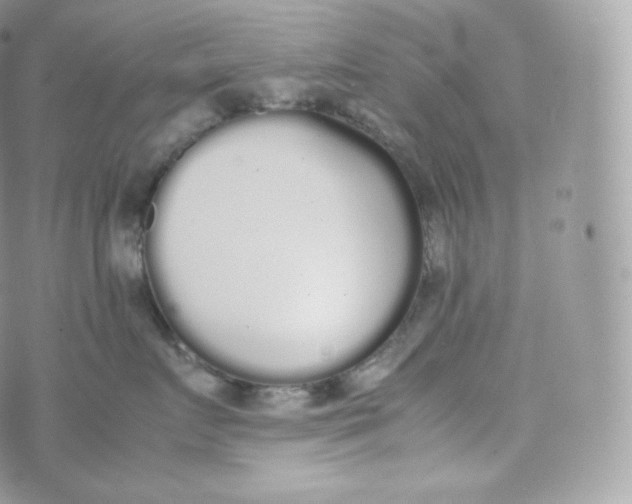 X0000070380719200606301921