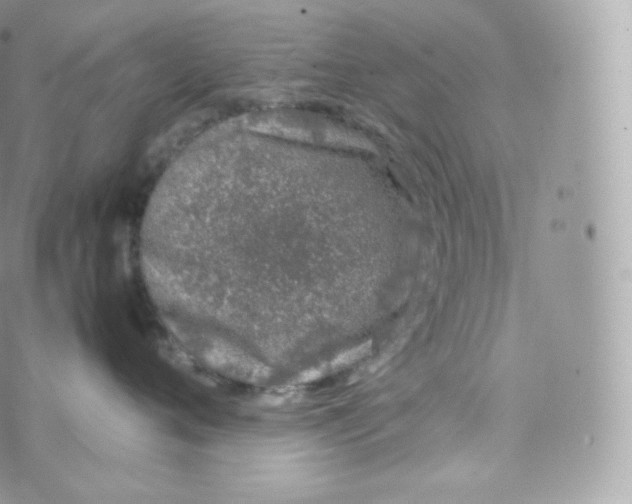 X0000070380720200606301921