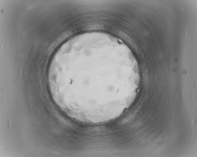 X0000070380721200606301920