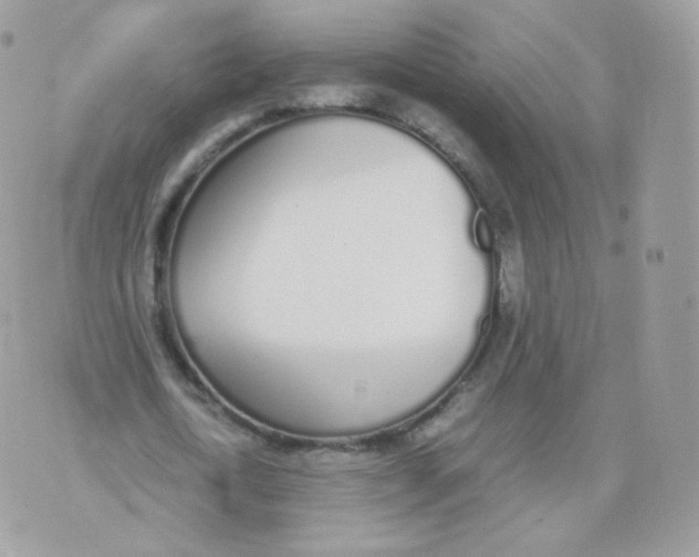 X0000070380722200606301920