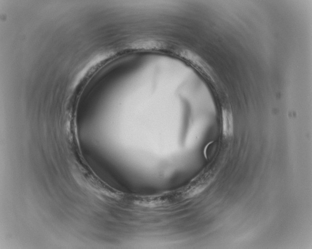 X0000070380723200606301920