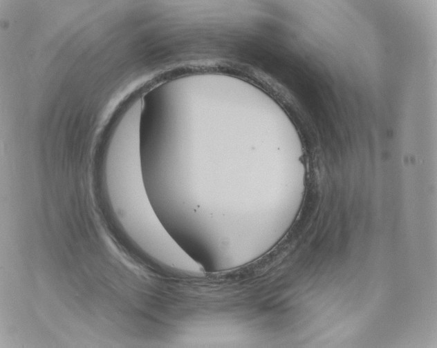 X0000070380728200606301920