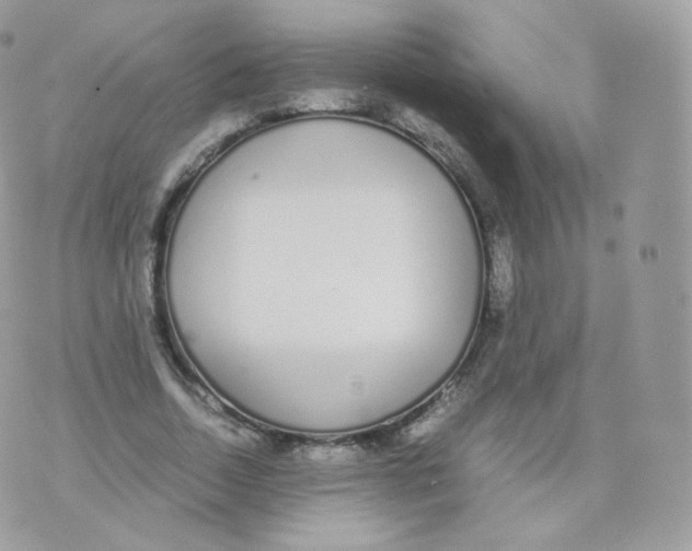 X0000070380730200606301921