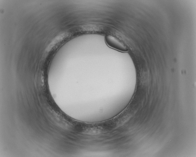 X0000070380731200606301921