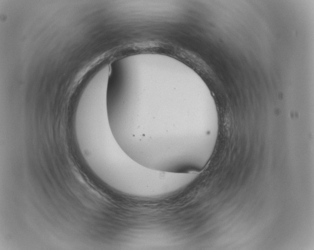 X0000070380732200606301921