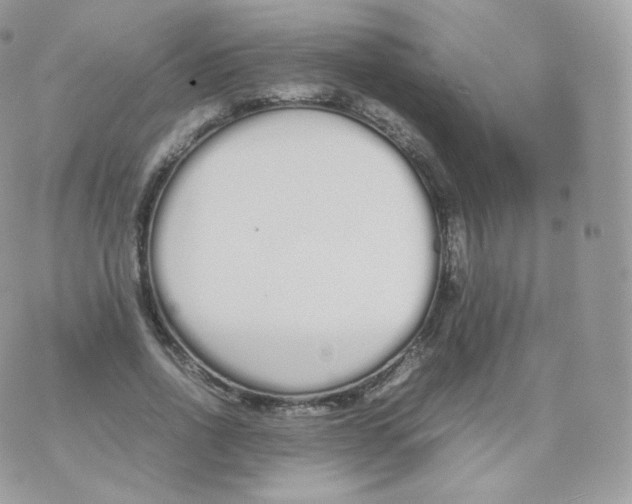 X0000070380734200606301921