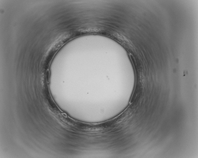 X0000070380735200606301921