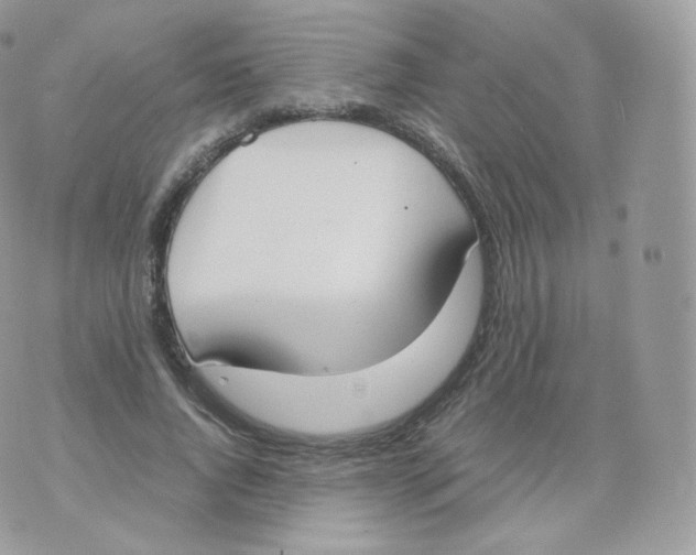 X0000070380736200606301921