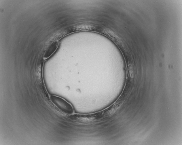 X0000070380737200606301921