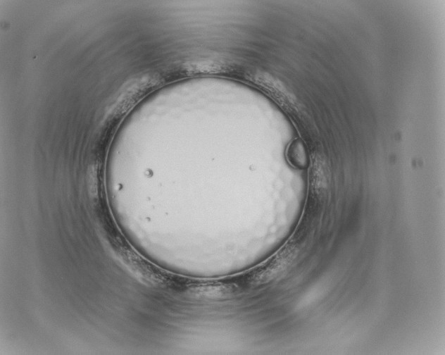 X0000070380738200606301921