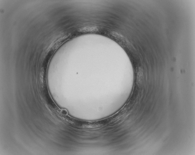 X0000070380739200606301921