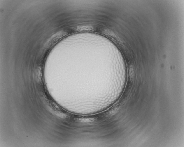 X0000070380741200606301921