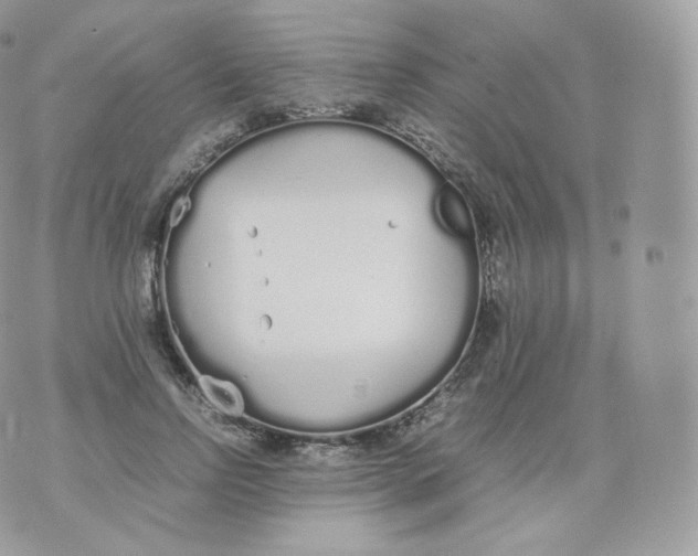 X0000070380742200606301921