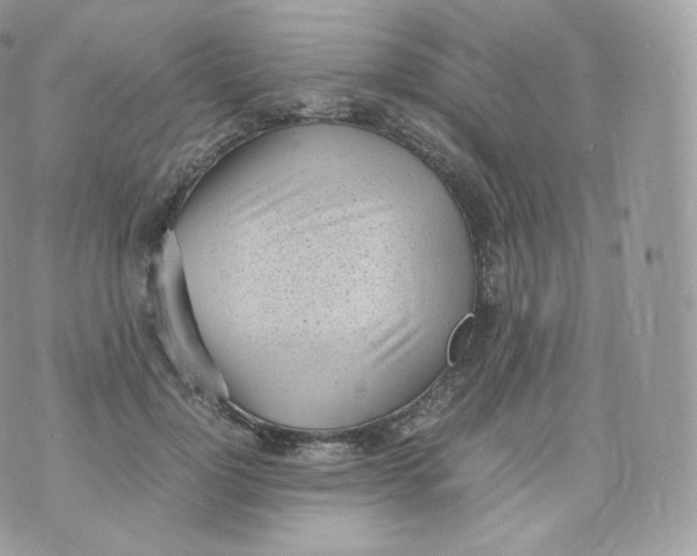 X0000070380748200606301921