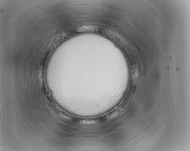 X0000070380749200606301921