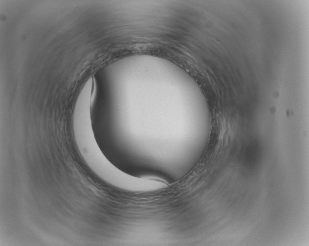 X0000070380750200606301921