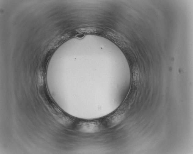 X0000070380751200606301921