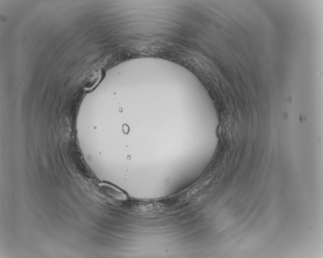 X0000070380752200606301921