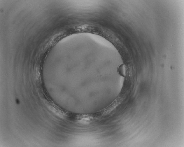 X0000070380754200606301921