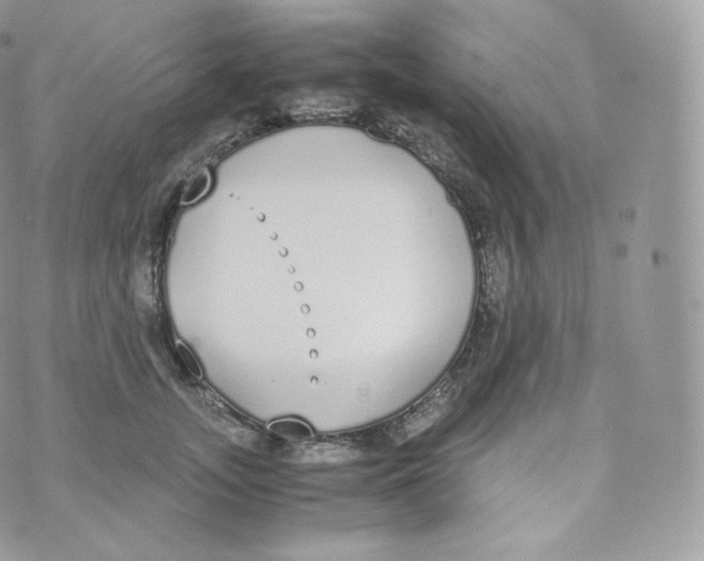 X0000070380755200606301921