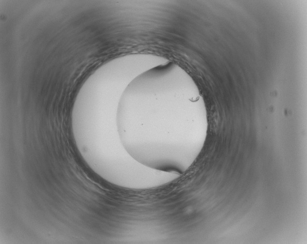 X0000070380756200606301921