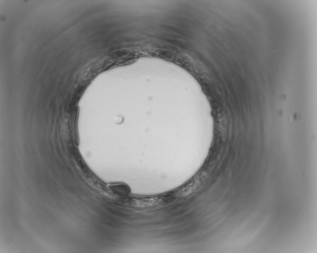 X0000070380757200606301921