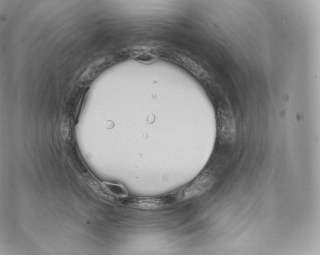 X0000070380758200606301921