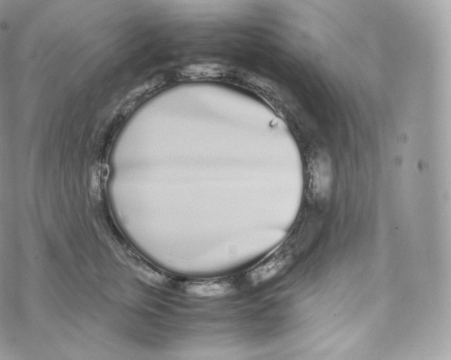 X0000070380759200606301921