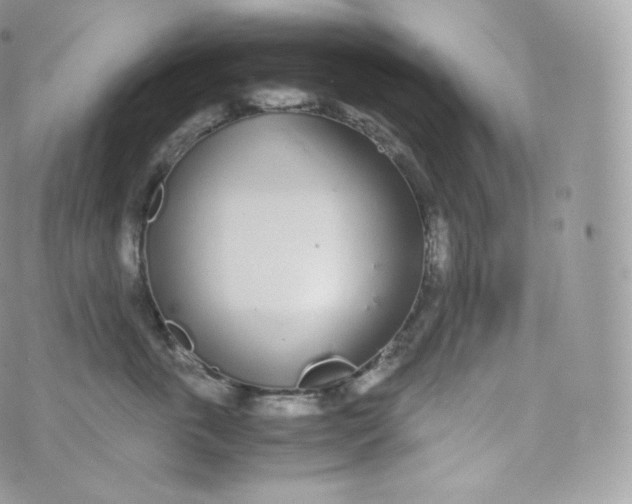 X0000070380763200606301921