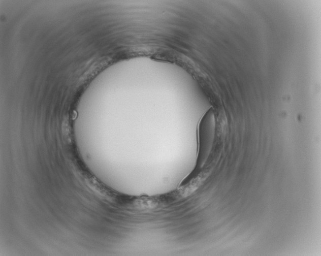 X0000070380764200606301921