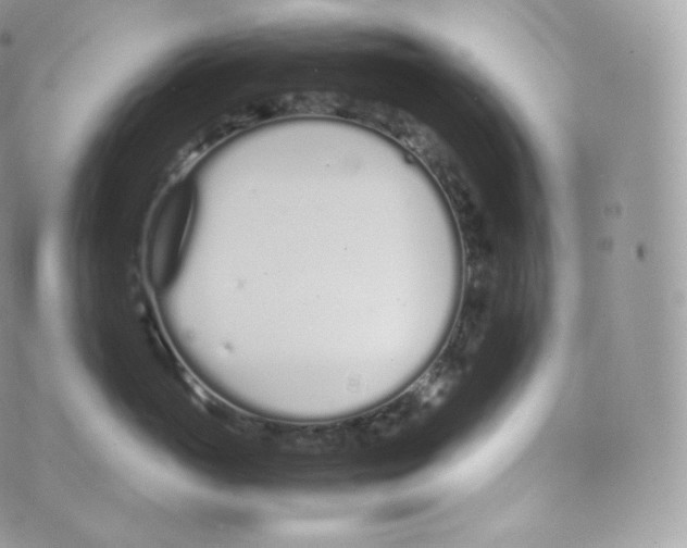 X0000070380765200606301921