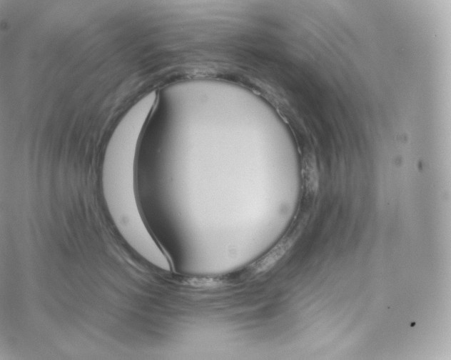 X0000070380766200606301921