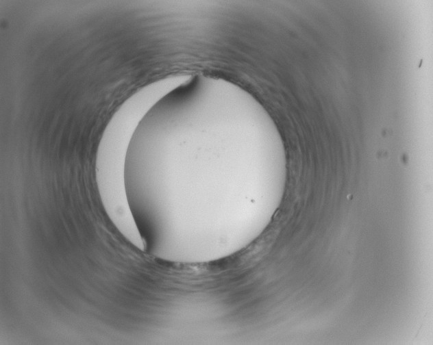 X0000070380768200606301921