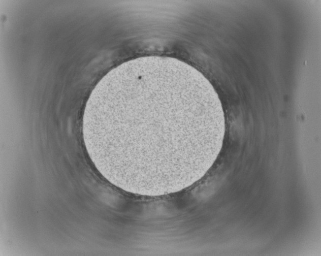 X0000070380769200606301920