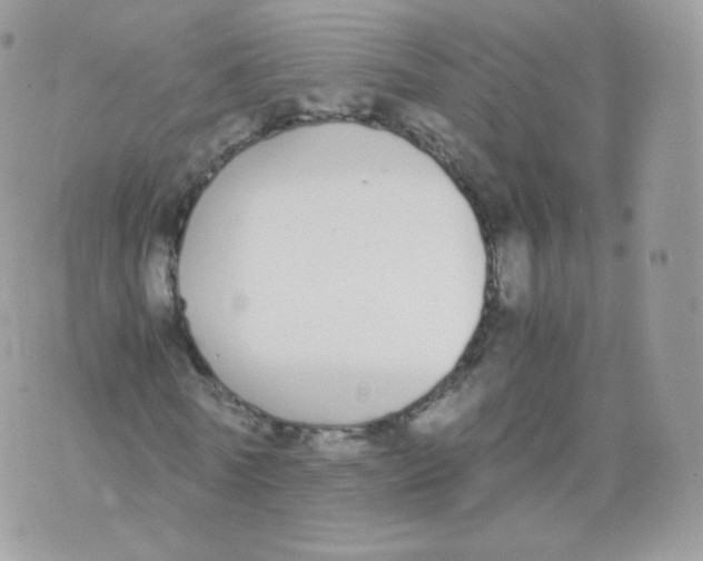 X0000070380770200606301920