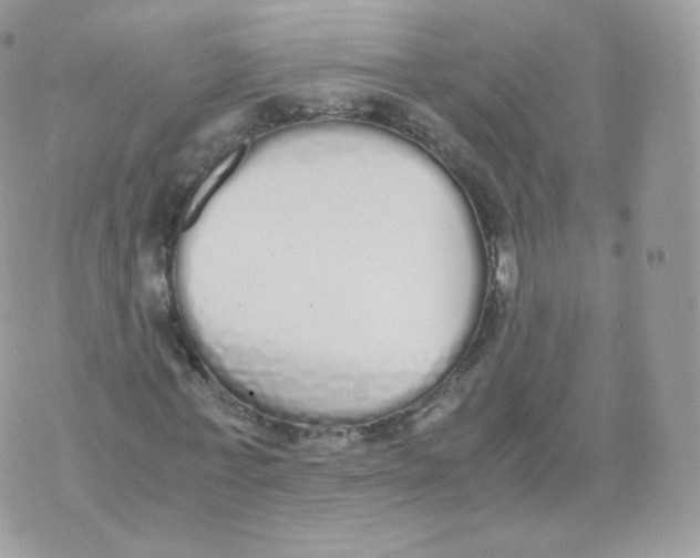 X0000070380771200606301920