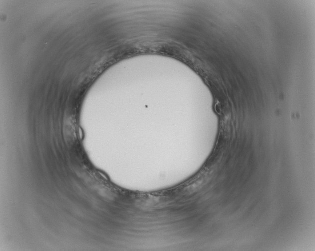 X0000070380772200606301920