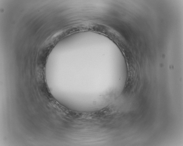 X0000070380773200606301920