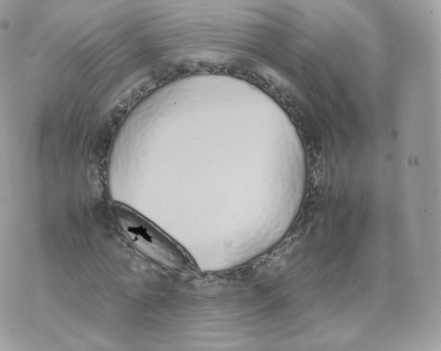 X0000070380774200606301920