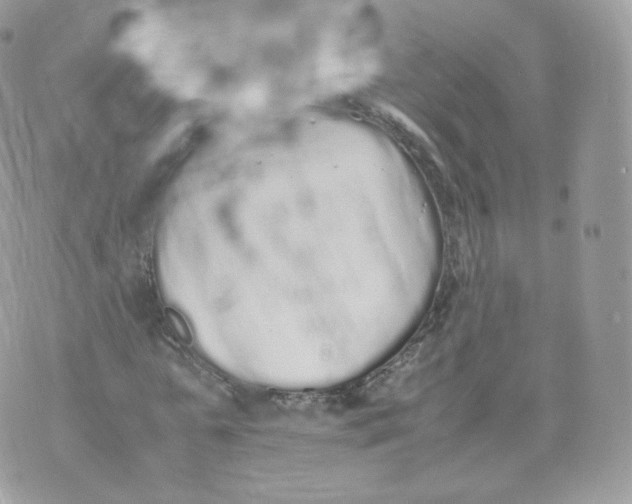 X0000070380775200606301920